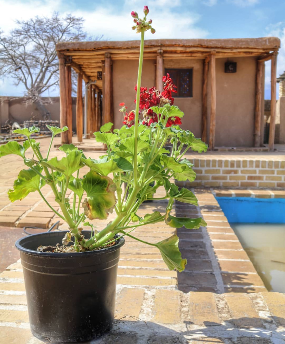 گروه آفرود گردشگری شاهرود